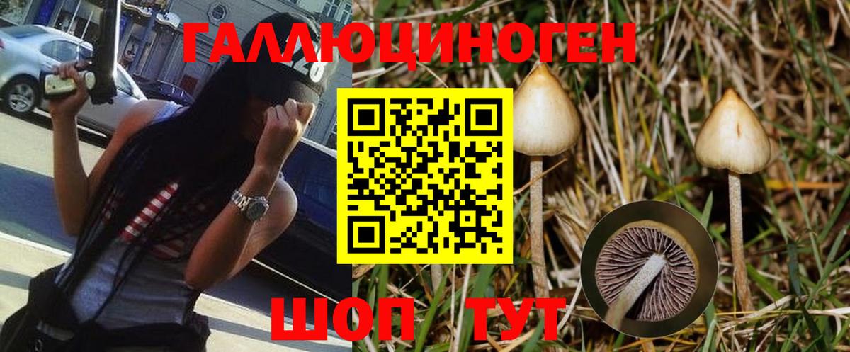 Приморско-Ахтарск  Галлюциногенные грибы MAGIC MUSHROOMS  Галлюциногенные грибы MAGIC MUSHROOMS  Вход с VPN 