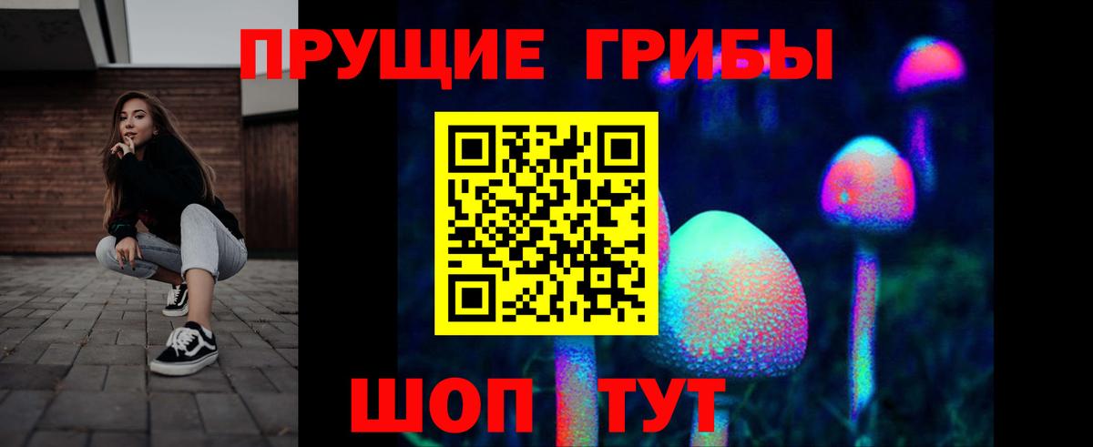 Псилоцибиновые грибы прущие грибы Приморско-Ахтарск
